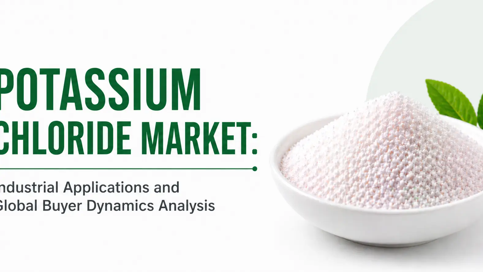 Trisodium Citrate Anhydrous Supply Chain Market Insights & Global B2B Trends