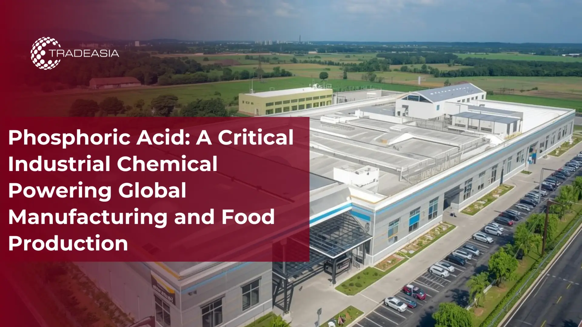 Phosphoric Acid in Global Manufacturing & Food