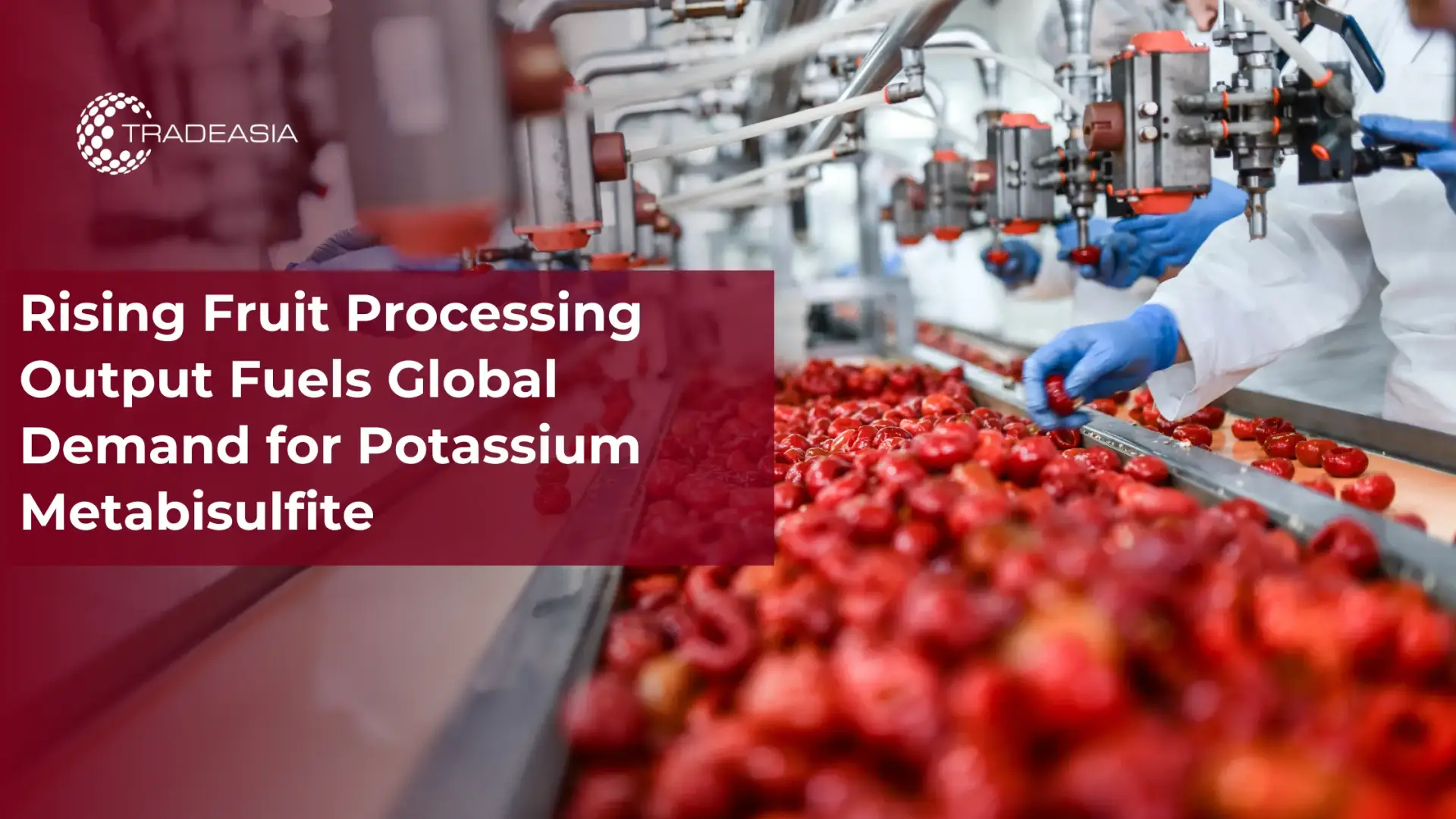 Global Potassium Metabisulfite Demand Rises with Fruit Processing