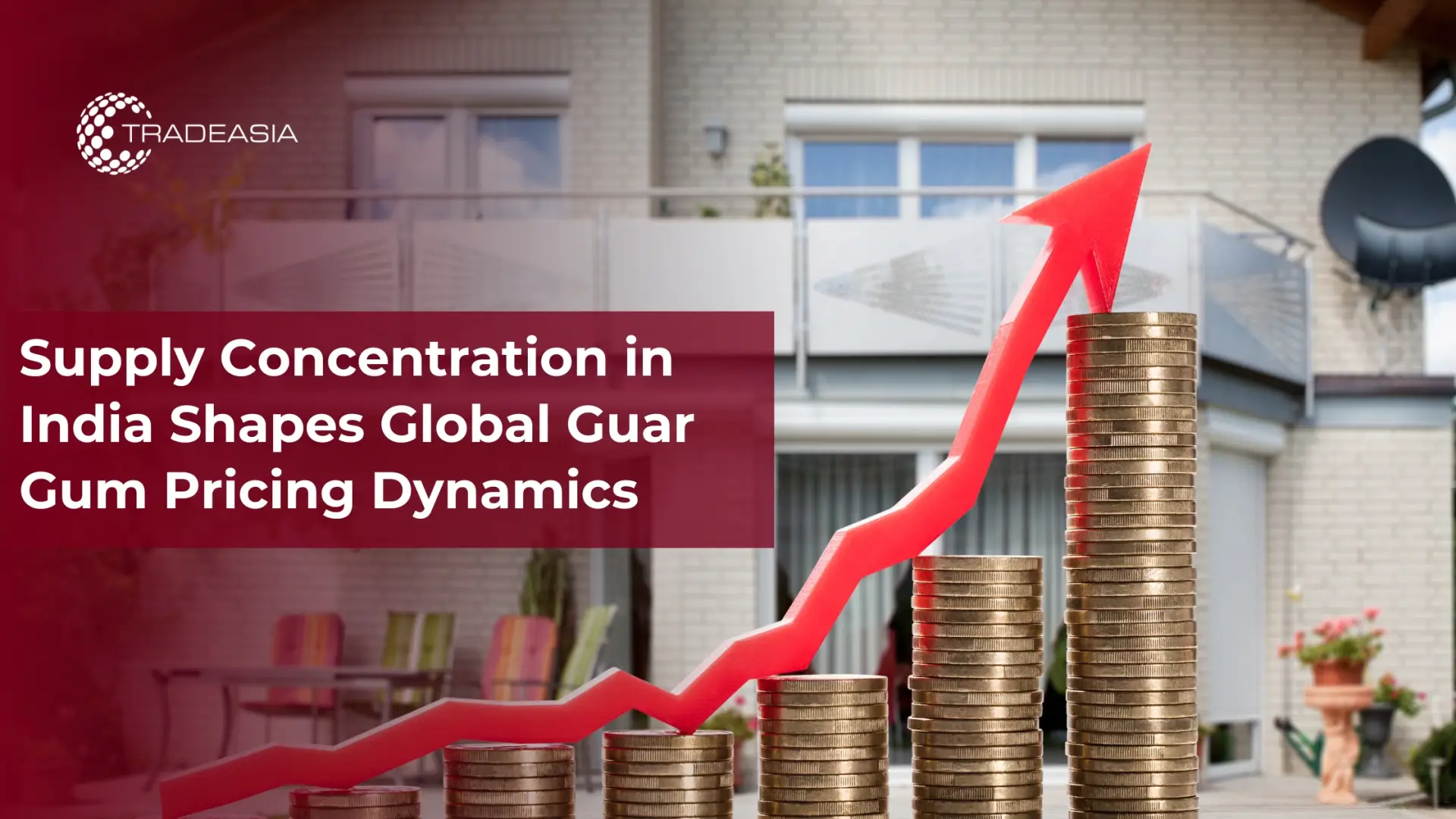 Guar Gum Prices Shift on India’s Supply Concentration