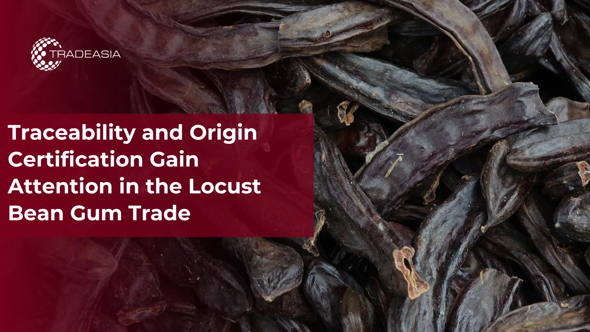 Origin Certification Gain Attention in the Locust Bean Gum Trade
