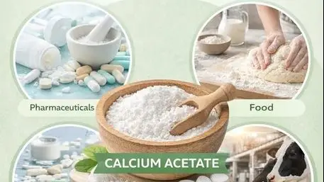 Calcium Acetate Supply Chain 2026: Volatility, Pricing & Trade Realignment