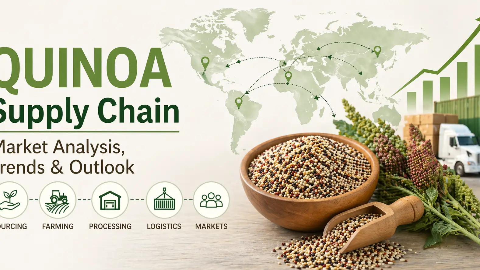 Quinoa Market Analysis: Global Trade, Logistics & Future Growth Trends