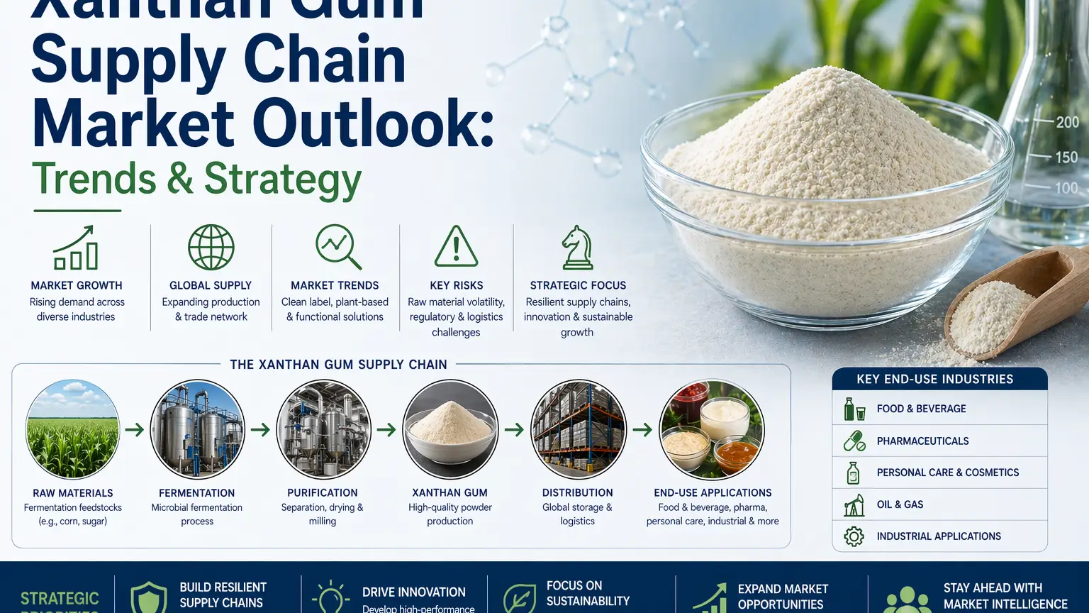 Xanthan Gum Supply Chain Market Outlook: Trends & Strategy
