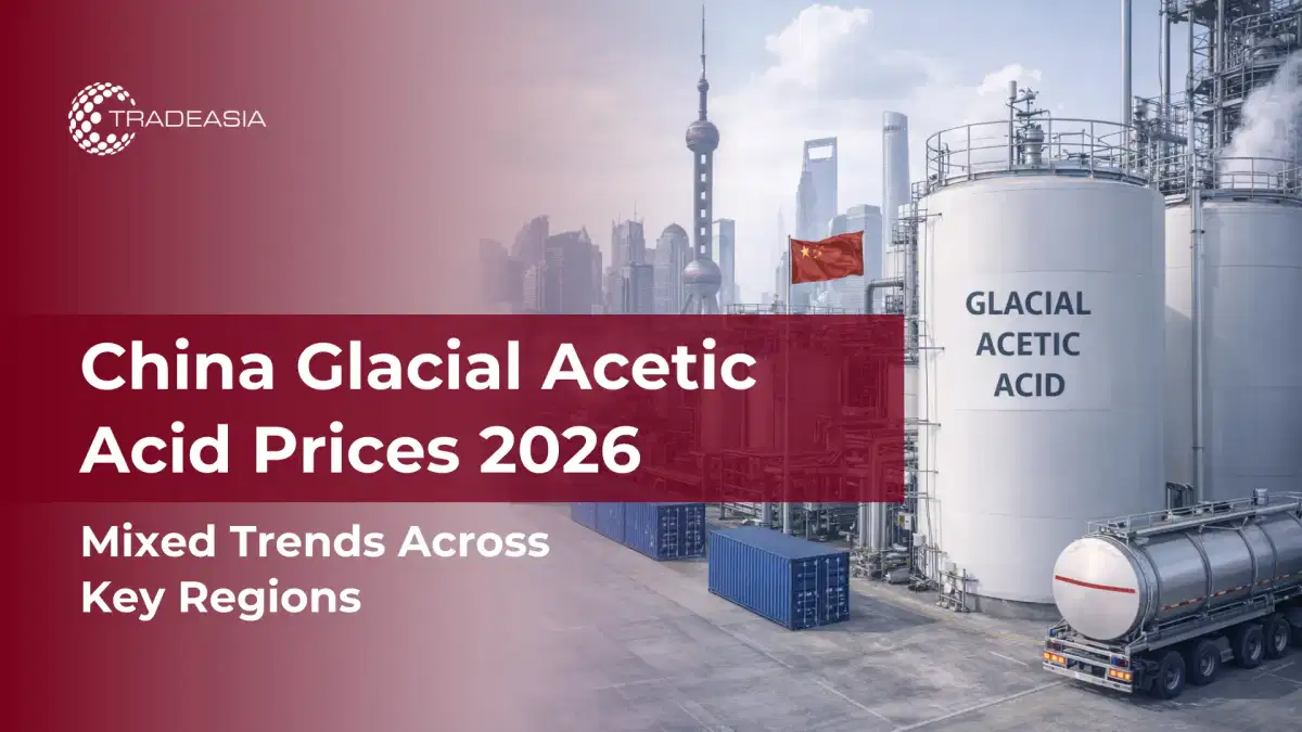 China Glacial Acetic Acid Market: Regional Price Trends in 2026