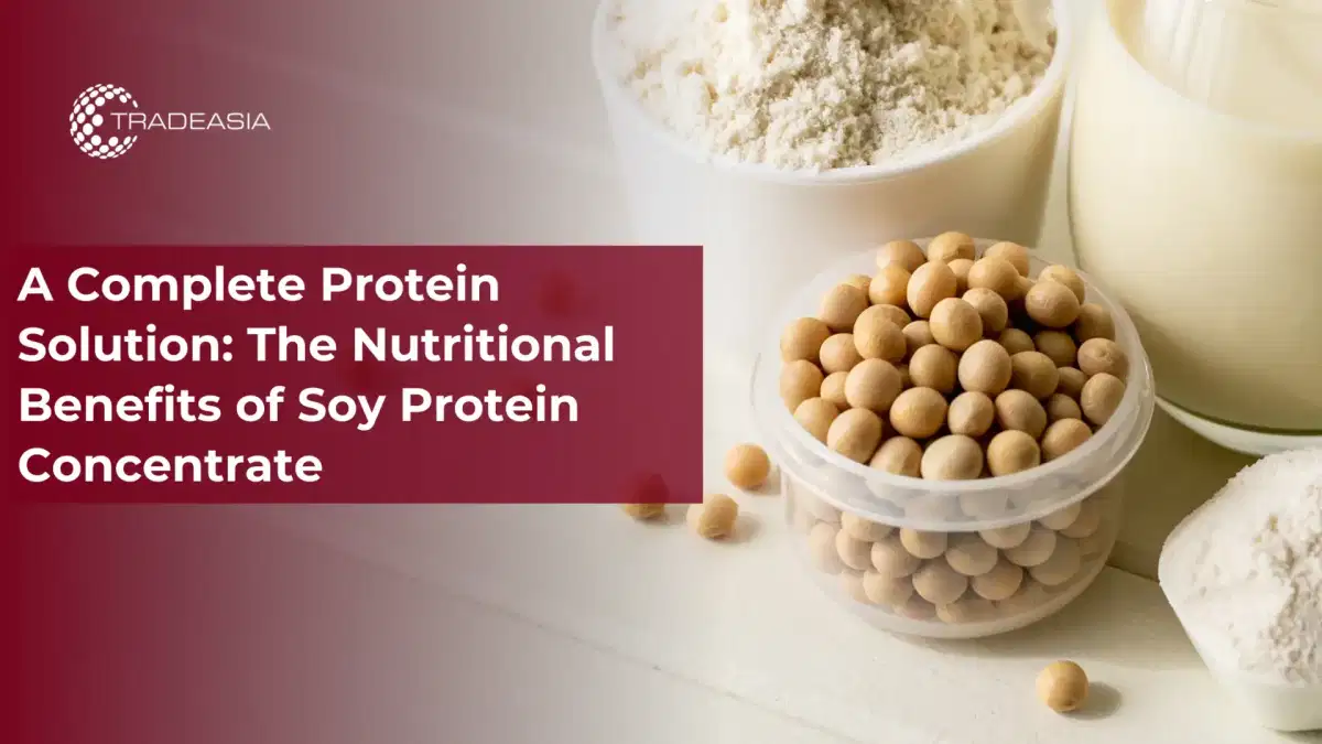 A Complete Protein Solution: The Nutritional Benefits of Soy Protein Concentrate