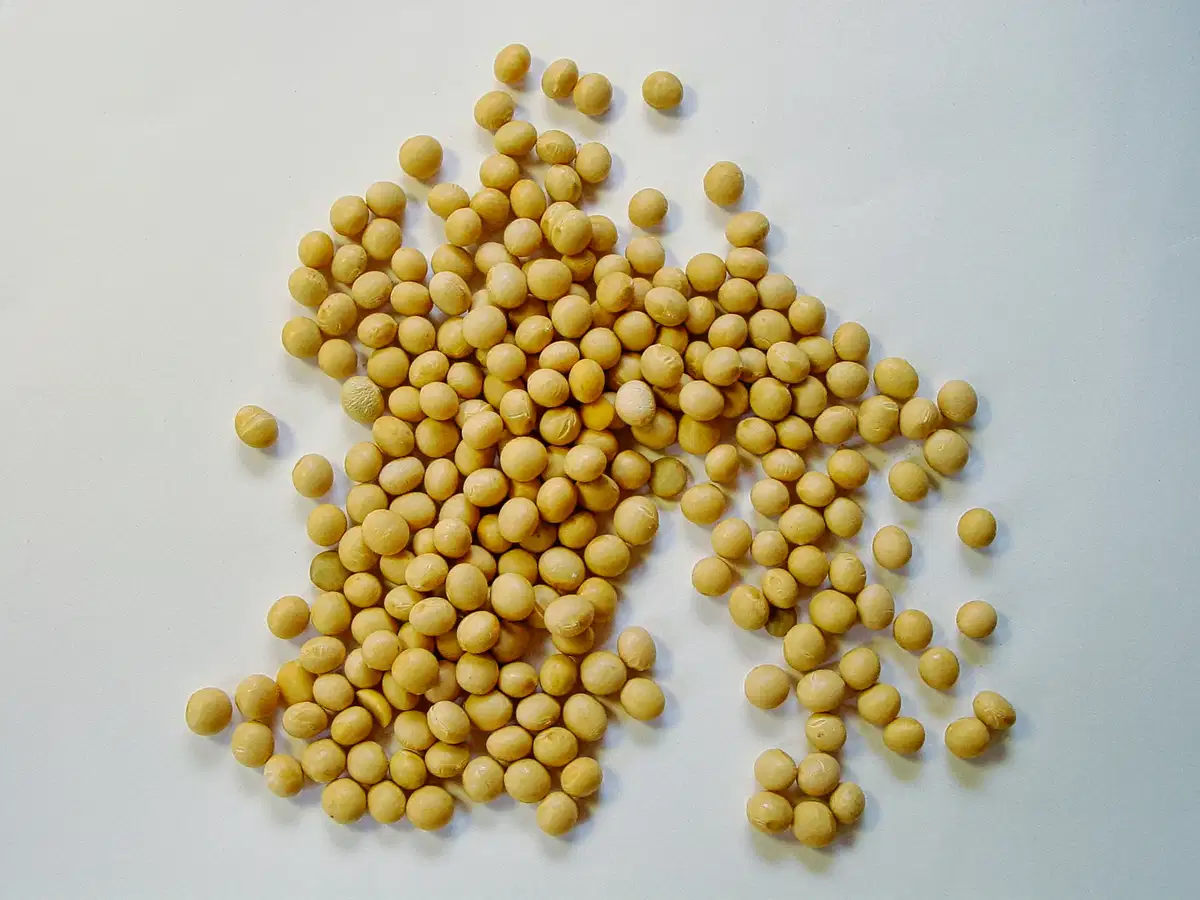 卵磷脂和大豆供应链:贸易紧张局势对副产品成分意味着什么