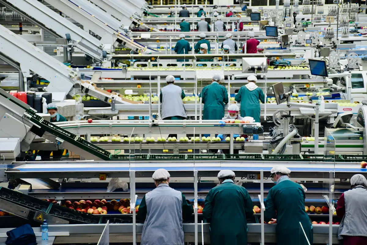 Food Ingredient Import Compliance: Documentation, Quality and Regulatory Requirements
