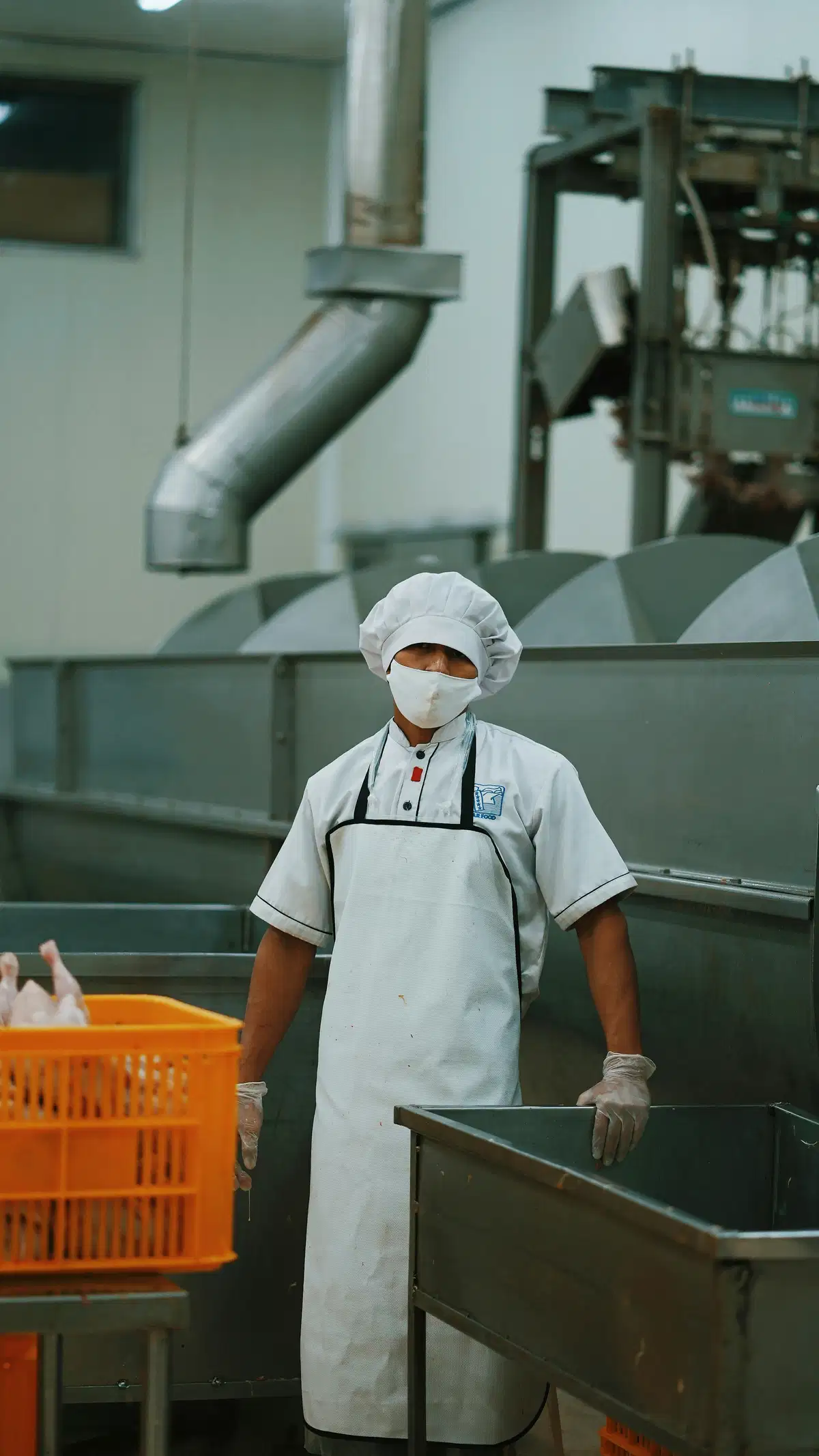 Phthalates in Food-Contact Materials: Safety and Compliance Considerations