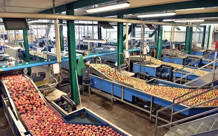 Food Ingredient Supply Chain Risks: Sourcing, Pricing and Quality Challenges