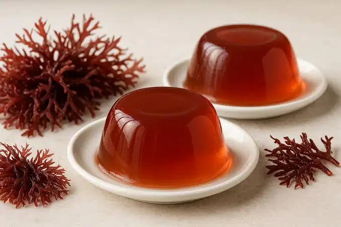 Agar in Food Manufacturing: Applications and buyers in Desserts and Plant-Based Products