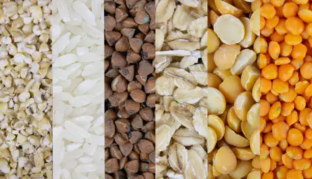 Carrageenan in Food Products: Texture, Stabilisation
