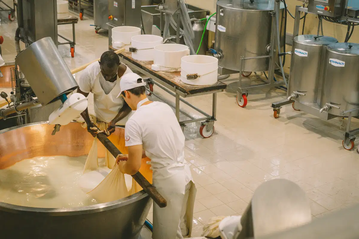 HACCP 和食品成分安全:食品企业的基本合规要求
