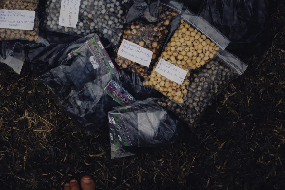 Sustainable Sourcing of Food Ingredients: Challenges, Benefits, and Best Practices