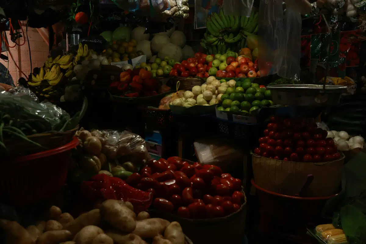 Organic vs. Conventional Food Ingredients: Sustainability, Environmental Impact, and Sourcing