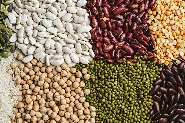 Proteína de haba: aplicaciones emergentes en la fabricación de alimentos de origen vegetal