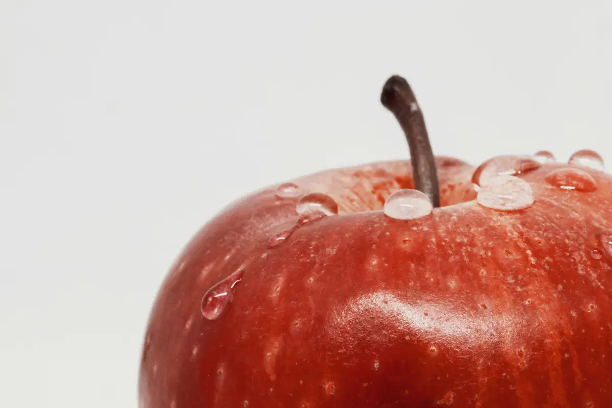 Hydroxypropyl Methylcellulose (HPMC): Uses in Food Coatings and Formulation