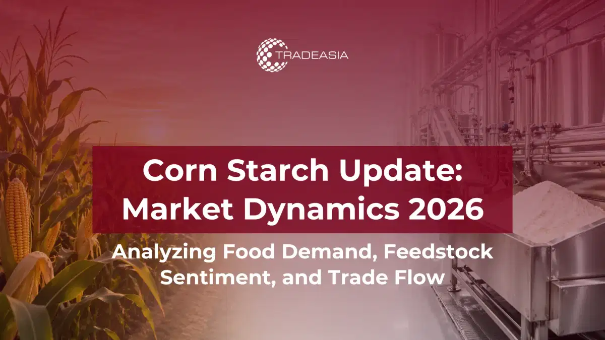 2026年玉米淀粉市场动态:食品需求、原料情绪和贸易流量