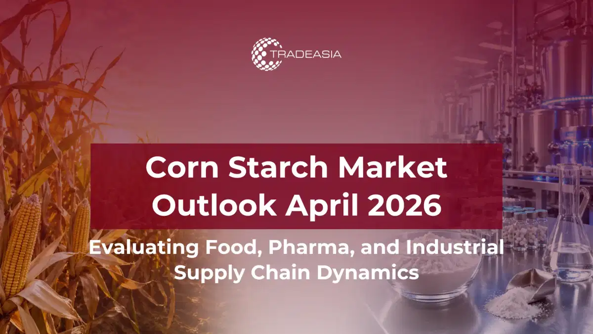 2026年4月玉米淀粉展望:食品、药品和工业需求